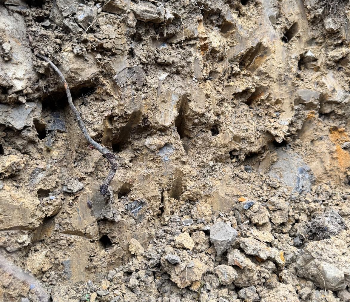 Clay soil image showing a heavy sticky soil, wet and compact soil, forming large hard clumps.