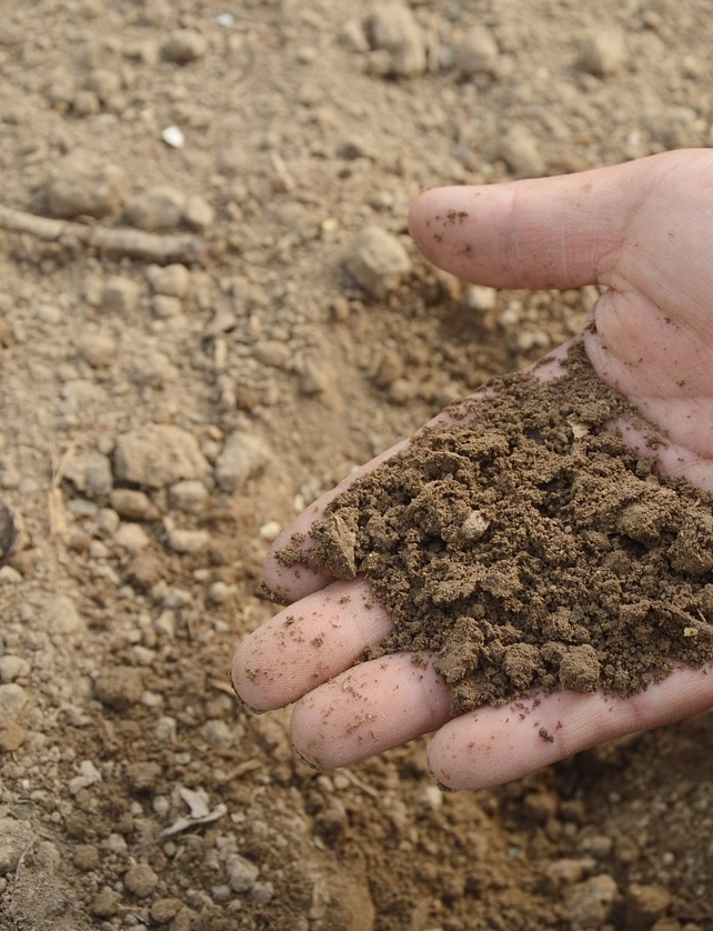 Image showing a hand testing the soil quality