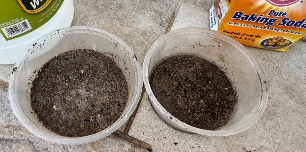Vinegar Soil test and Baking Soda Soil test