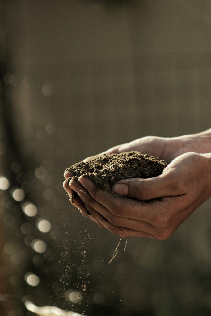hand holding rich garden soil, symbolising soil care and health