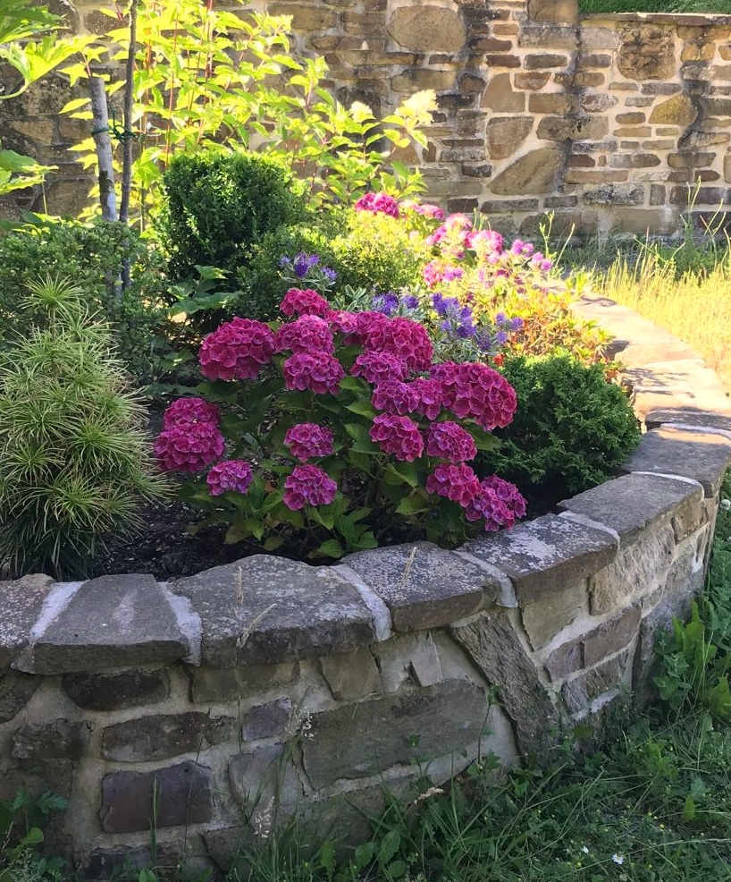 Raised garden beds filled with healthy plants and easy access planting ideas