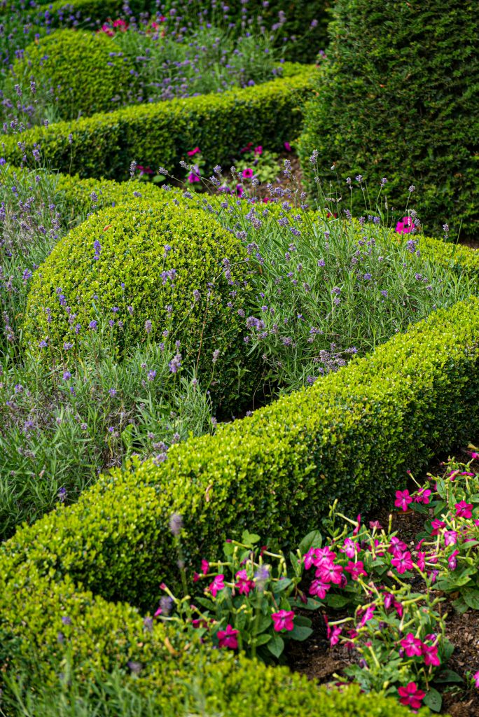 Lush Planting Ideas for a Sloping Garden, with Shrubs, flowers and ground cover