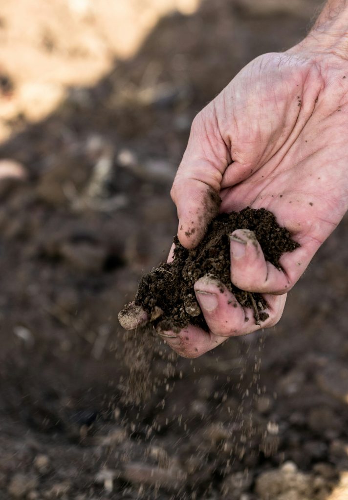 Hand squeezing soil to assess texture - the Squeeze soil test
