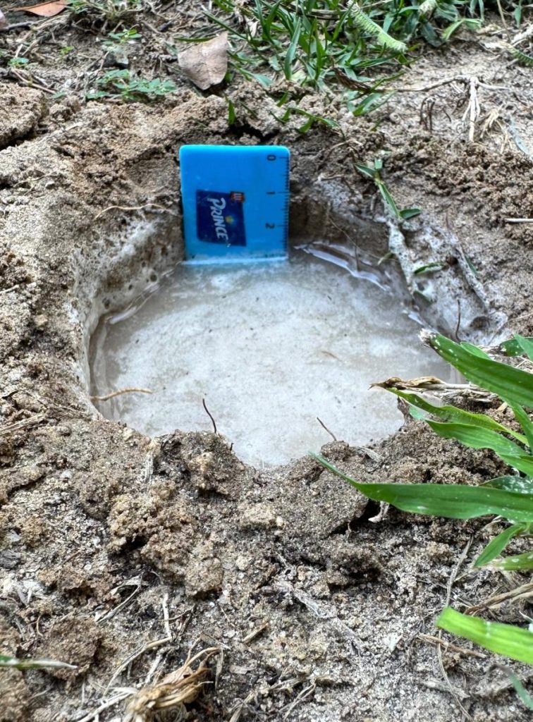 A hole in the ground filled with water to test the soil drainage speed
